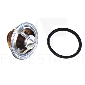 Termostat - RE538289, RE528652