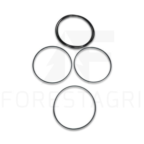 Zestaw uszczelnień, Seal kit, Dichtungssatz, Sada těsnění, Sandariklių rinkinys, F070190