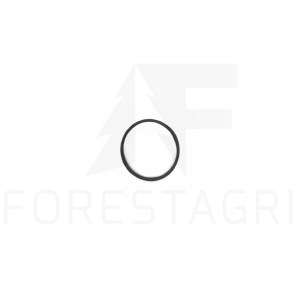 Pierścień - F035021