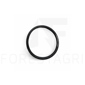 O-ring - F047913 (zamiennik)