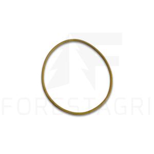 O-ring - F056858