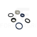 Zestaw uszczelnień, Sandariklių rinkinys, Sada těsnění,  Dichtungssatz, Seal kit, F058179