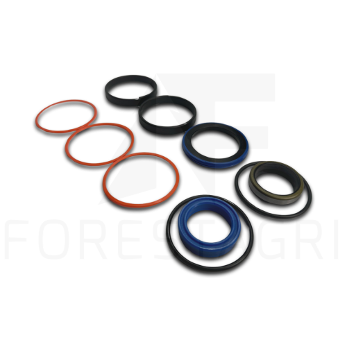 Zestaw uszczelnień, Sandariklių rinkinys, Sada těsnění, Dichtungssatz, Seal kit , F063040