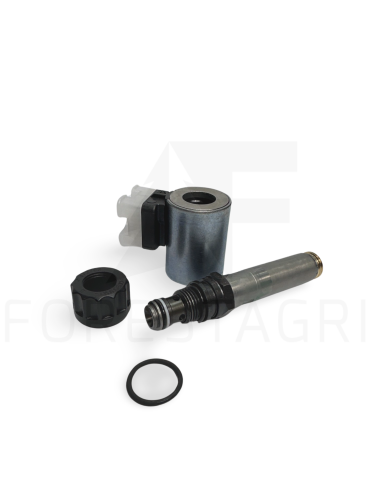 Zawór ciśnieniowy, Slėgio vožtuvas, Tlakový ventil, Druckventil, Pressure valve, F065387, F694709
