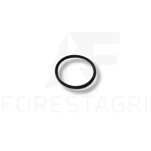 O-RING - F004565