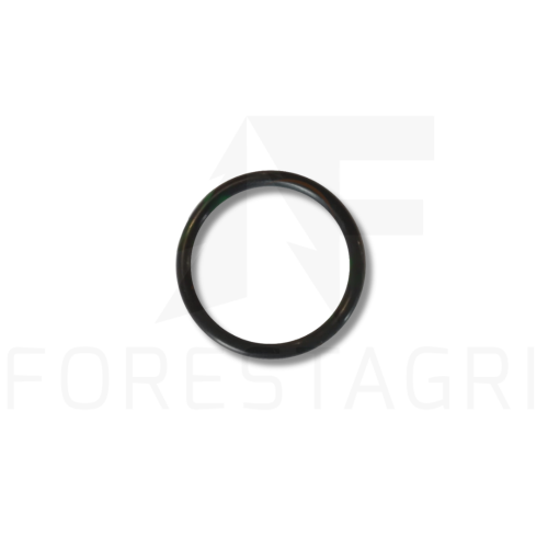 O-RING - F004570