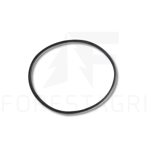 O-ring – F004716