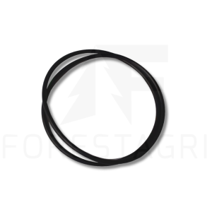 O-ring - F013736