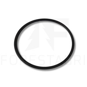 O-ring - F025375