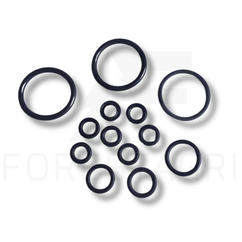 Zestaw uszczelnień sekcji rozdzielacza, Manifold section seal kit, Dichtungssatz für den Verteilerstück, Sada těsnění sekce rozdělovače, Kolektoriaus sekcijos sandariklių rinkinys, F030971 Z