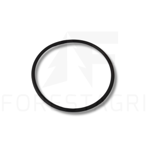 O-ring - F061067 (część używana)