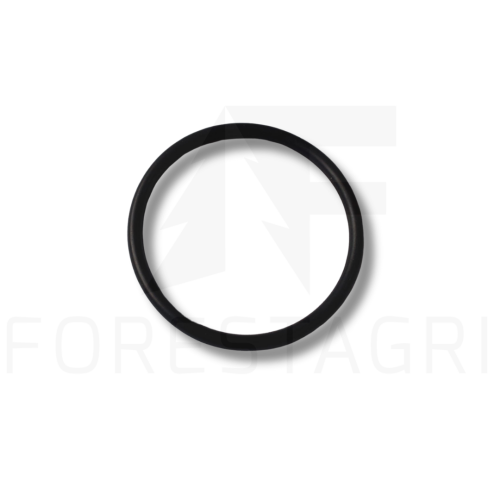 O-ring, O-kroužek, O-ring, O-ring, O-žiedas - F005484 T34248