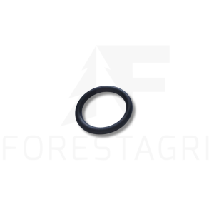 O-ring - F030972,  F004568