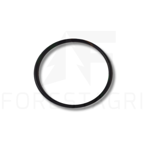O-ring - M4236T