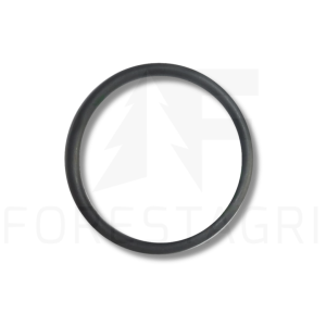 O-ring - R123273