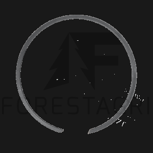 Pierścień - F003807