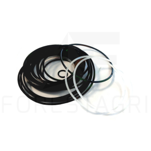 Zestaw uszczelnień - F066618