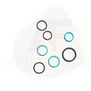 Zestaw uszczelnień - F070020