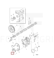 F057538_.jpg